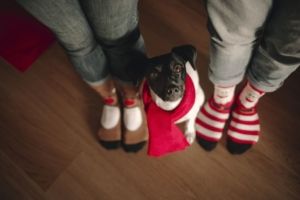 fotografía detalles pies familia con perrito mirando